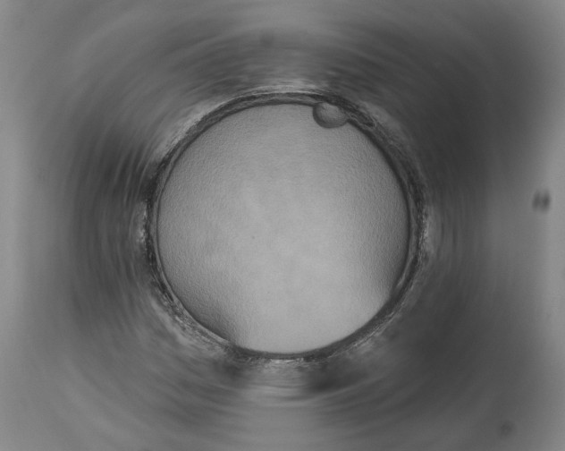 X0000115071161200911171123