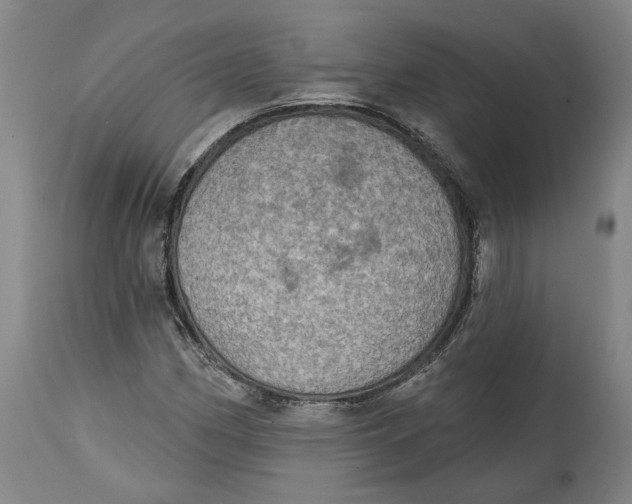 X0000115071162200911171123
