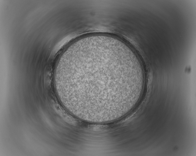 X0000115071163200911171123