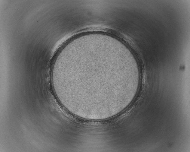 X0000115071164200911171123