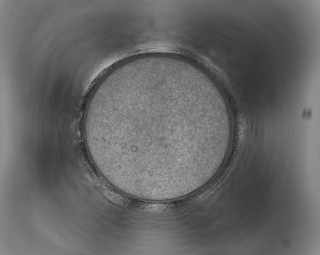 X0000115071166200911171123