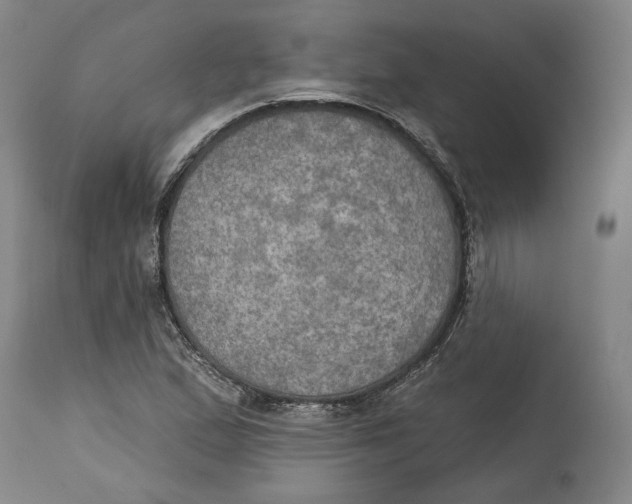 X0000115071167200911171123