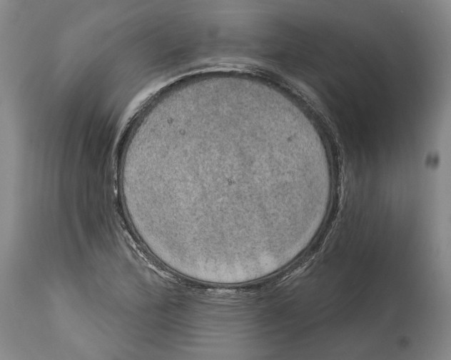 X0000115071172200911171123