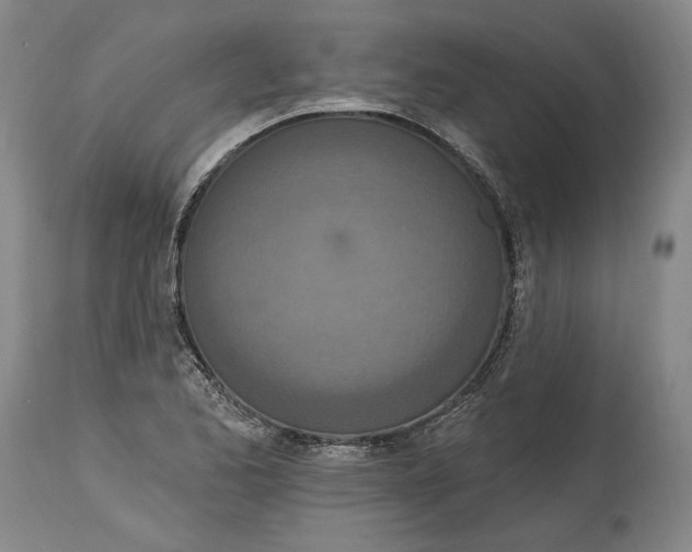 X0000115071173200911171123