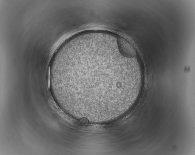 X0000115071175200911171123