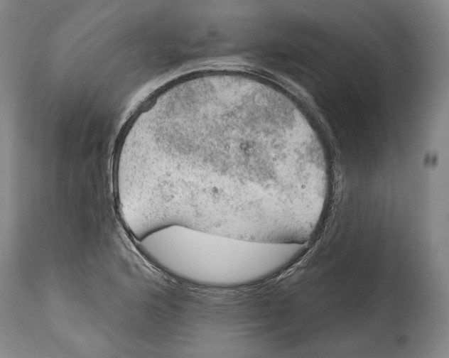 X0000115071176200911171123