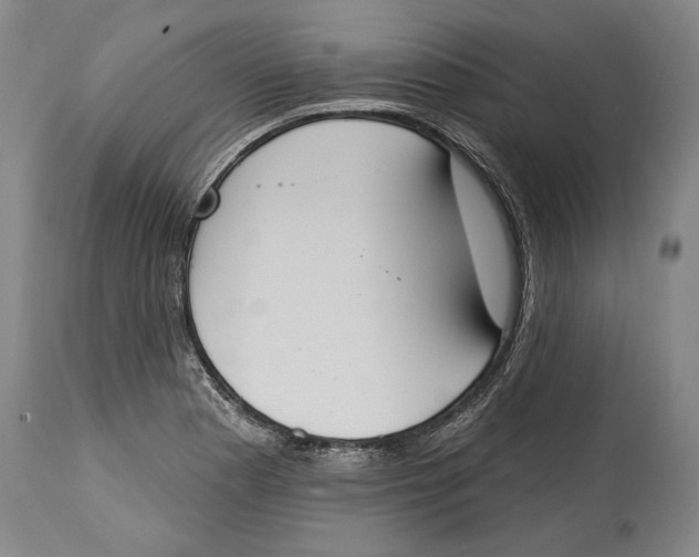 X0000115071177200911171123