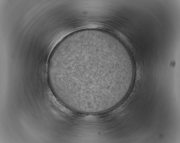 X0000115071178200911171123