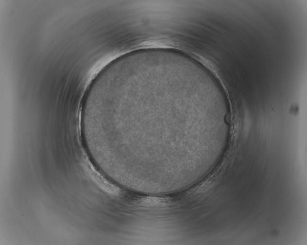 X0000115071179200911171123