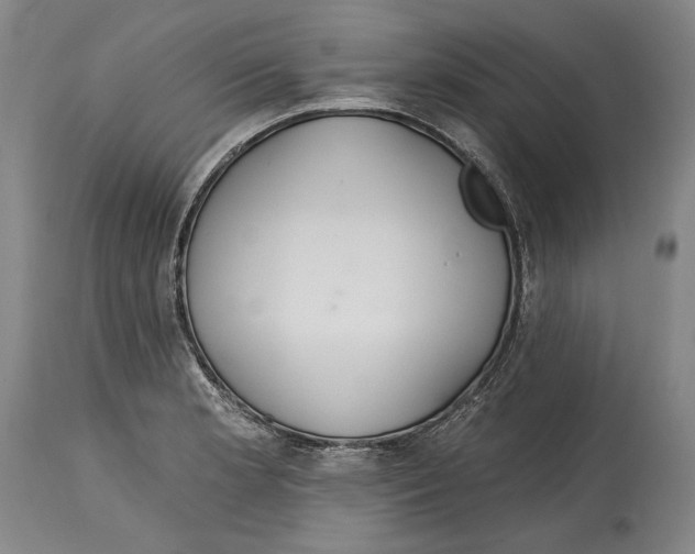 X0000115071181200911171123