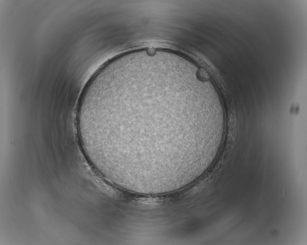 X0000115071182200911171123