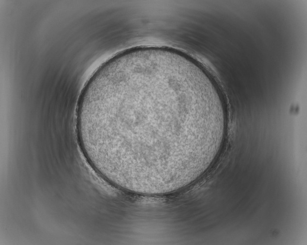 X0000115071183200911171123