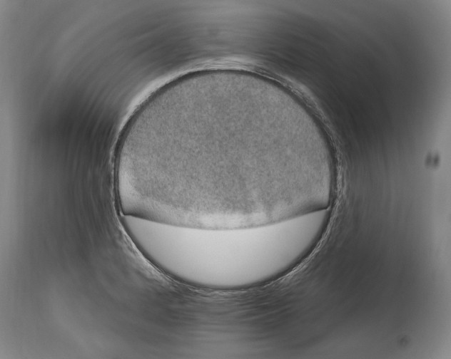 X0000115071184200911171123