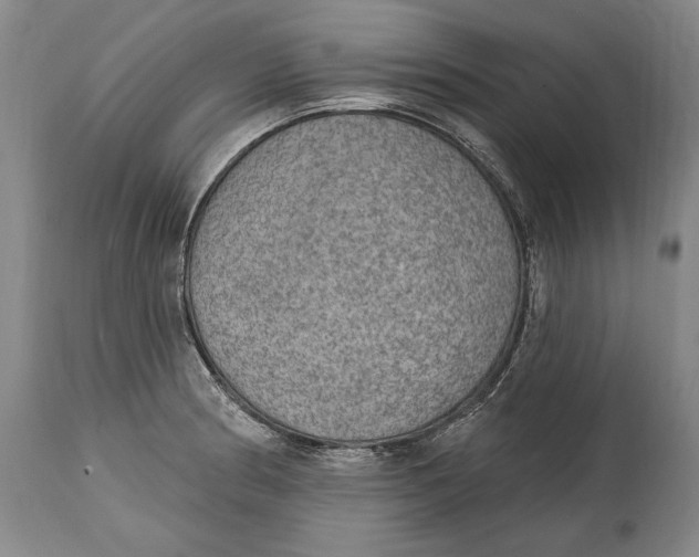X0000115071186200911171123