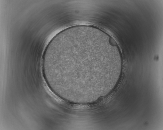 X0000115071187200911171123