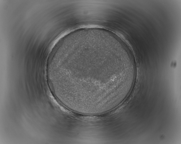 X0000115071189200911171123