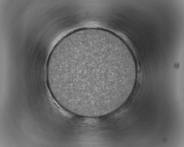X0000115071191200911171123