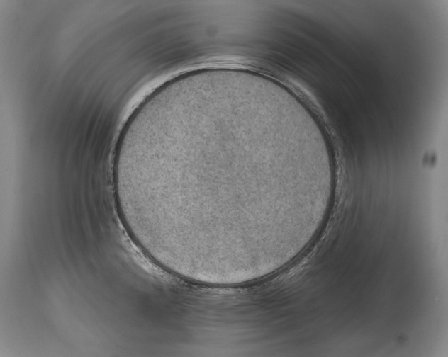 X0000115071192200911171123
