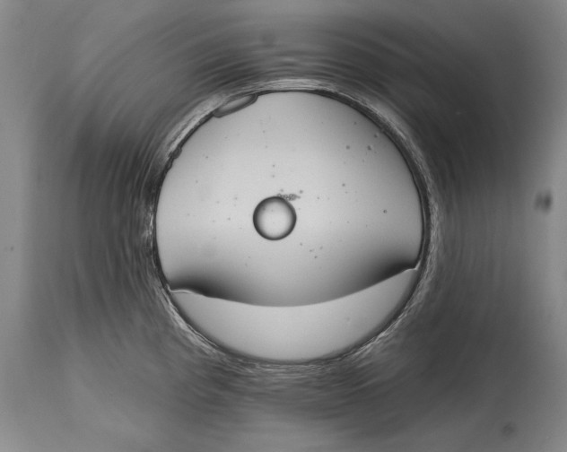 X0000115071193200911171123