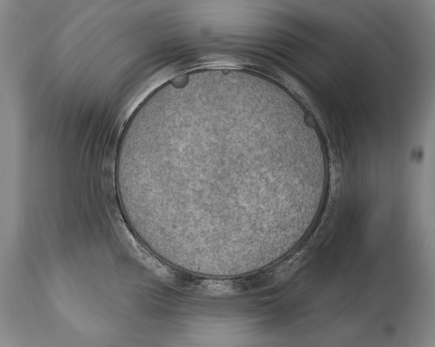 X0000115071194200911171123