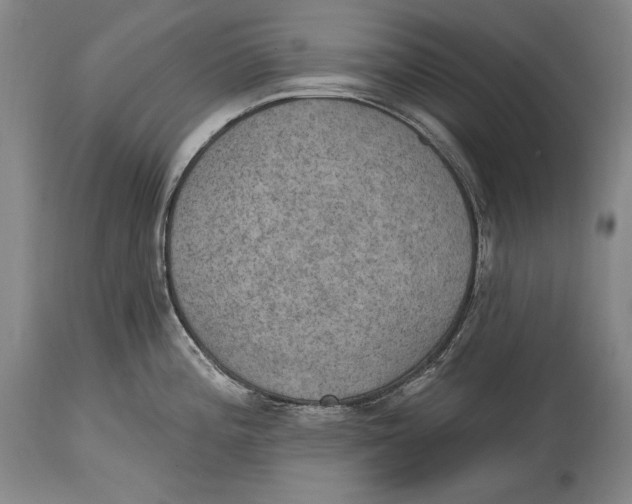 X0000115071196200911171123