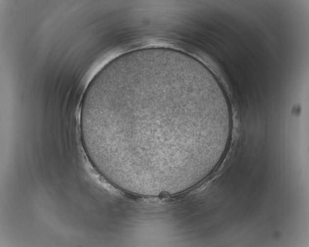 X0000115071198200911171123