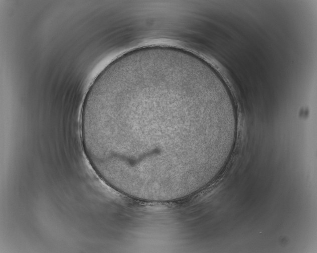 X0000115071199200911171123