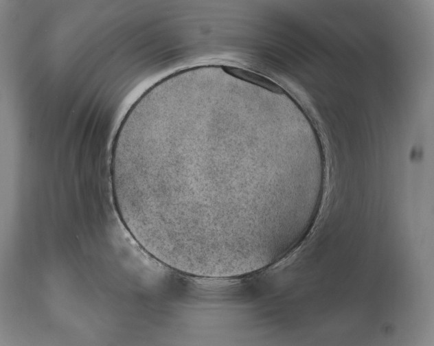 X0000115071200200911171123
