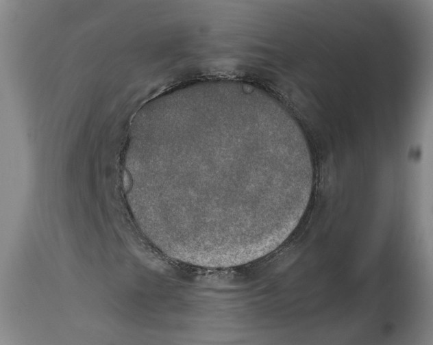 X0000115071201200911171122