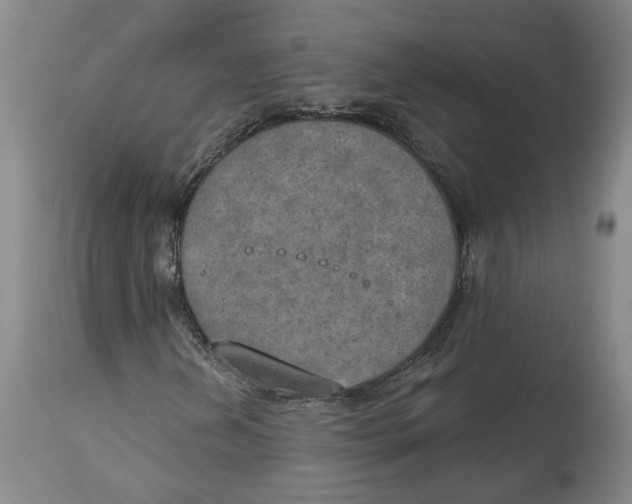 X0000115071202200911171122