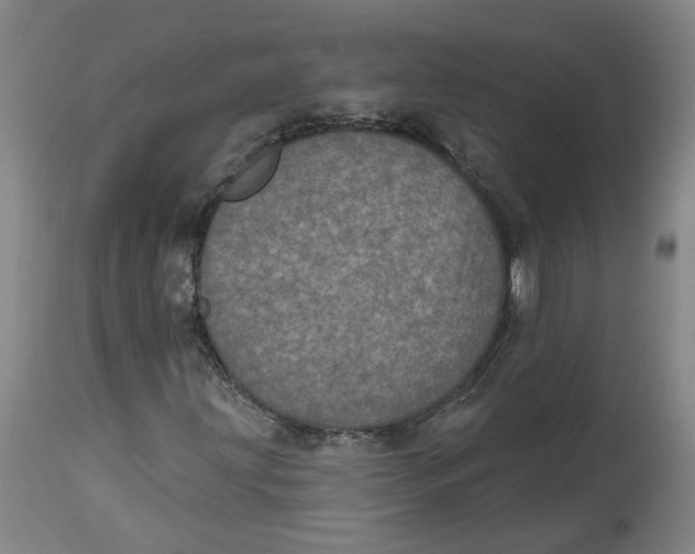 X0000115071203200911171122