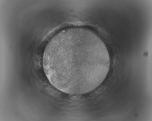 X0000115071205200911171122