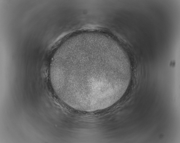 X0000115071206200911171122