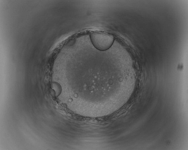 X0000115071207200911171122