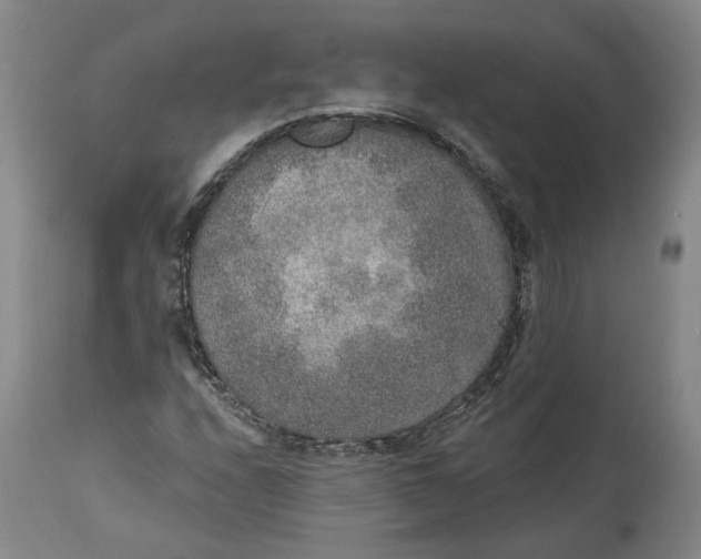 X0000115071208200911171122