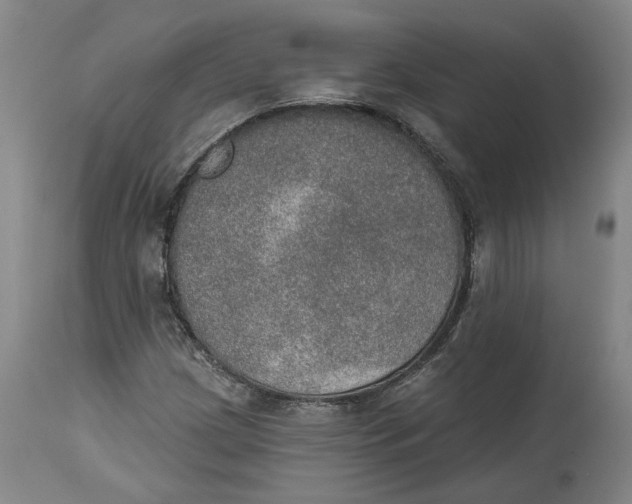 X0000115071209200911171122