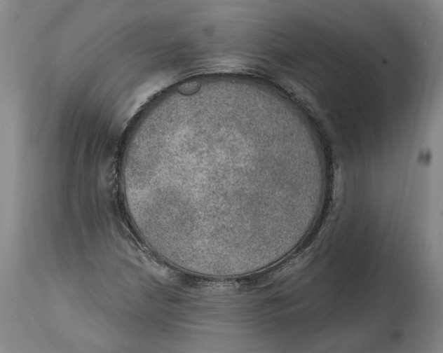 X0000115071210200911171122