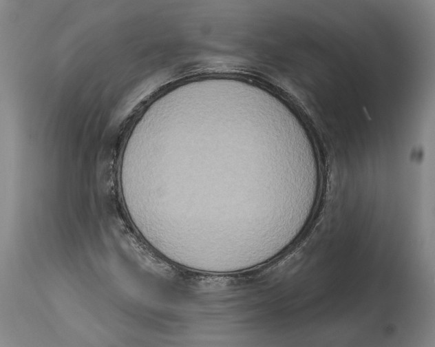 X0000115071211200911171122