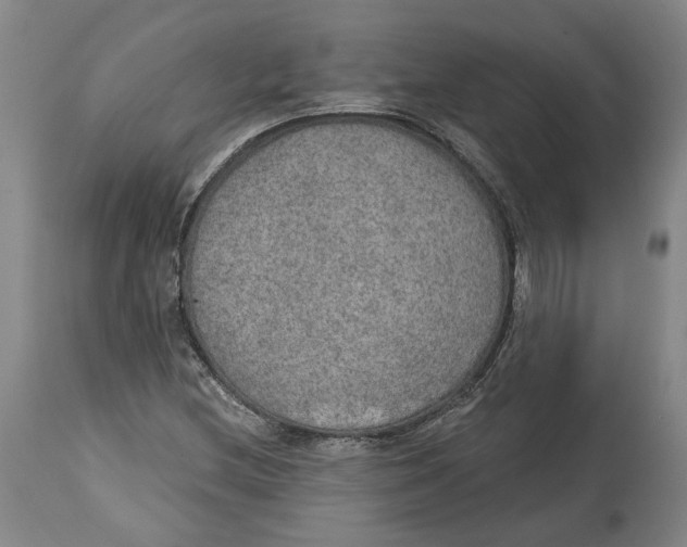 X0000115071212200911171122