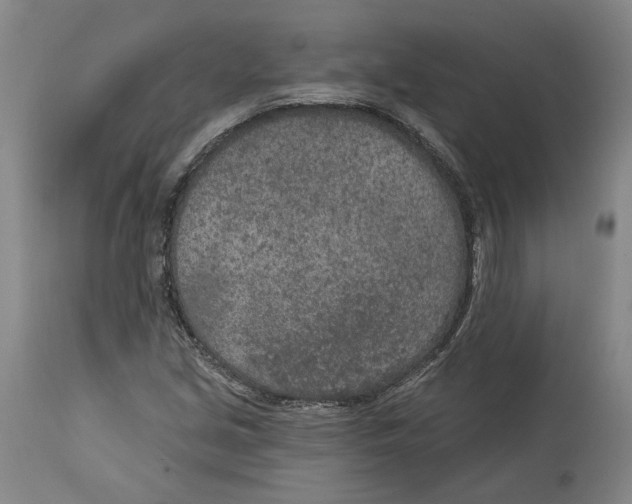 X0000115071213200911171122