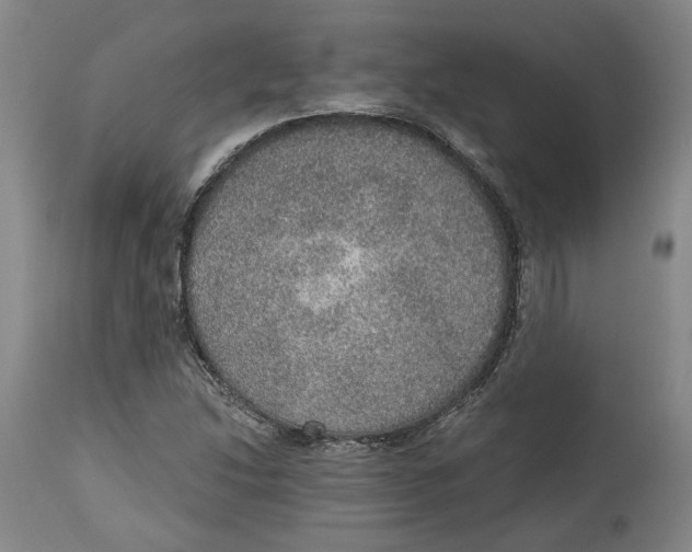 X0000115071214200911171122