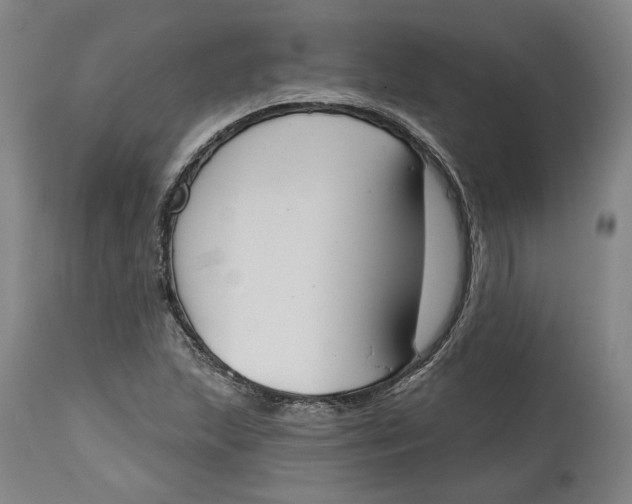 X0000115071215200911171122