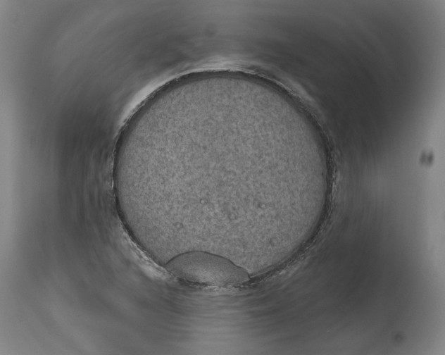 X0000115071216200911171123