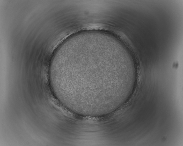 X0000115071217200911171123