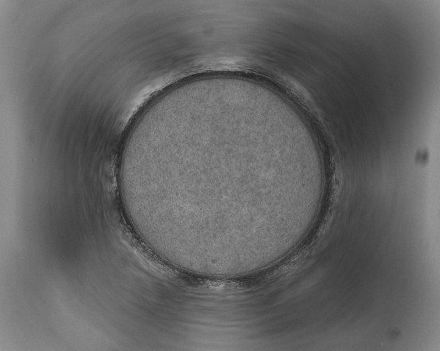 X0000115071218200911171123