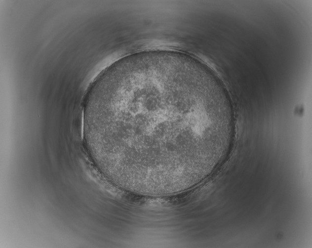 X0000115071219200911171123
