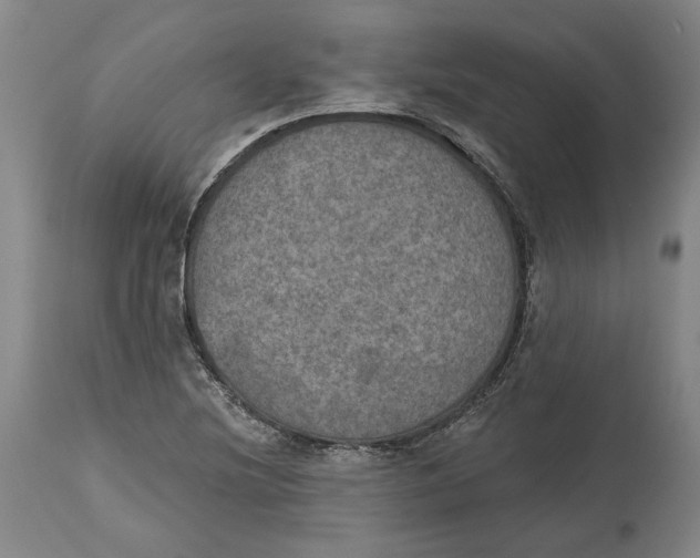 X0000115071220200911171123
