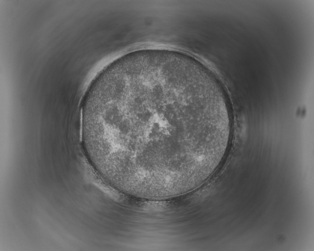 X0000115071223200911171123