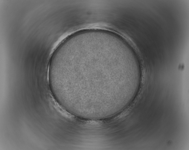 X0000115071224200911171123