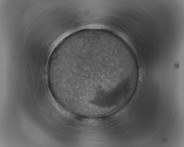 X0000115071229200911171123